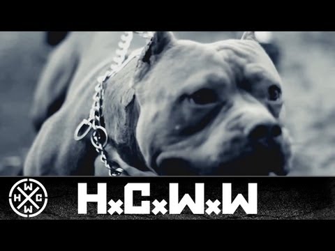 OBEY THE BRAVE - LIVE AND LEARN - HARDCORE WORLDWIDE (HCWW)