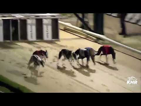 Rioja Bungle - M Lambe Construction Birmingham Cup Final