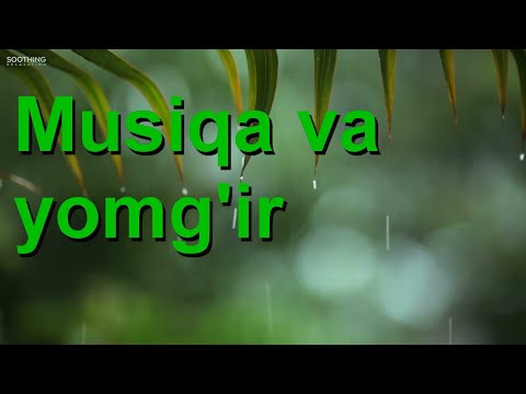 Yomg'ir tovushlari. uyqu uchun yomg'ir ovozi. Tinchlantiruvchi tovushlar