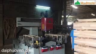 Woodmaster. MÁY ĐỤC MỘNG ÂM CNC 2 đầu. MÁY KHOAN MỘNG ÂM CNC giá tốt nhất TP HCM