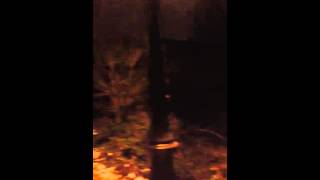 Grund, Luxembourg on January 1, 2015