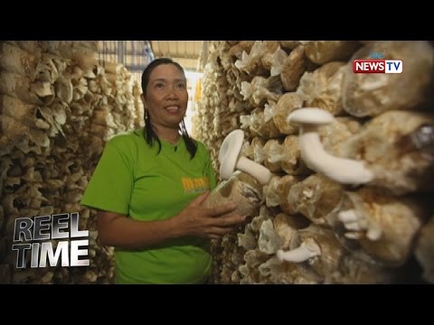 Slimming tea Turboslim kanino contraindications Ng kung aling mga produkto ay dapat na itinapon upang mawala ang timbang sa 20 kg