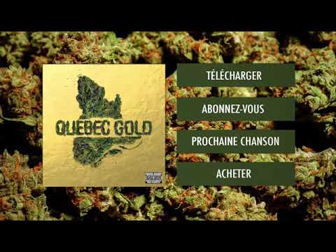 Disstrick 11 - La dose