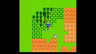 StarTropics #02