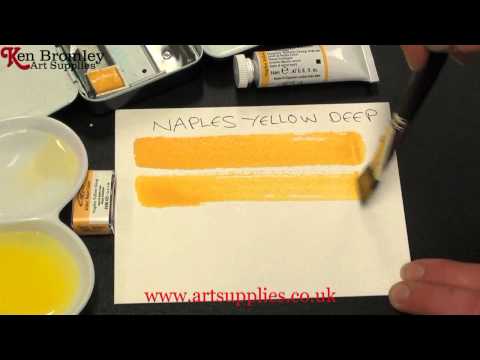 Winsor & Newton Artists' Water Colour paint Naples Yellow Deep 425 Series 1