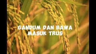 Download lagu OFEL SINGERS KIDUNG PENYEMANGAT IMAN DSL 176 MUSIM PENUAIAN mp3 Download lagu OFEL SINGERS KIDUNG PENYEMANGAT IMAN DSL 176 MUSIM PENUAIAN mp3