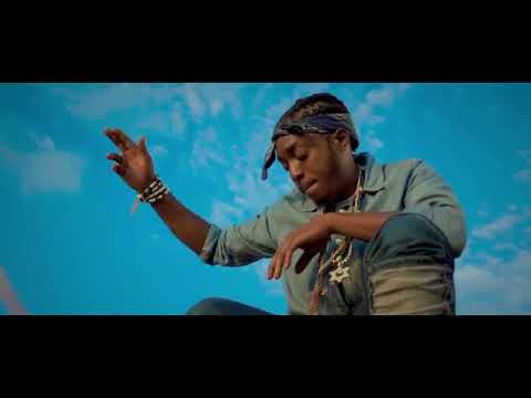 Laza Morgan - Would I (Official Video)