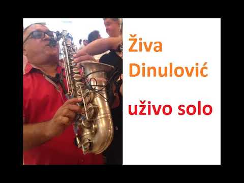 ZIVA DINULOVIC - UZIVO SOLO