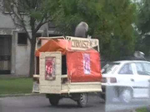 2010 szeptember 04. Cirkuszi állatszállítás Hatvan