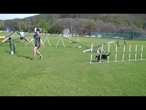 Django A1 Agility 28 August