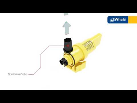 Whale Supersub Smart Pump