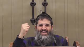 הרב אופיר טנג'י   פרפראות בפרשה  פרשת משפטים!!