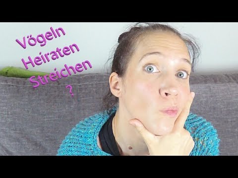 Schlickergarne Podcast 017 - #Schlickerdecke