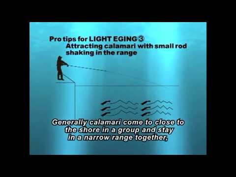 NAORY Range Hunter Yamashita Range Hunter Squid Jig Techniques