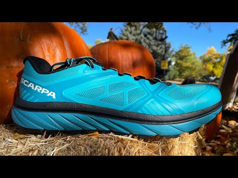 TOP 10 Best Scarpa Shoes To Buy in 2023!