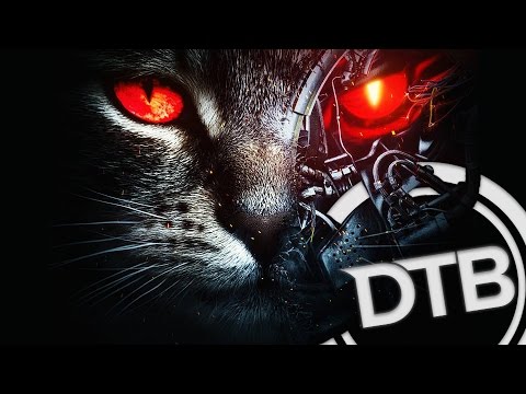 Excision & Downlink - Robo Kitty