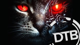【PREMIERE】Excision & Downlink - Robo Kitty