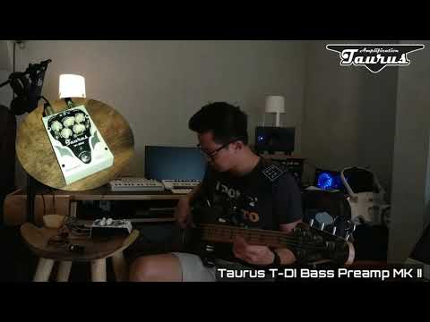Ronald Steven Taurus Bass Preamp MK2 Test & Short Testimonials
