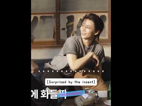 joshua vs insect is back 😭😂🐜🦟 #seventeen #joshua #jeonghan