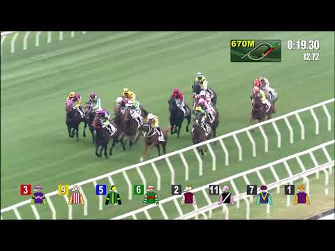 27/12/2021 (284) Galaxy Witness - J Moreira