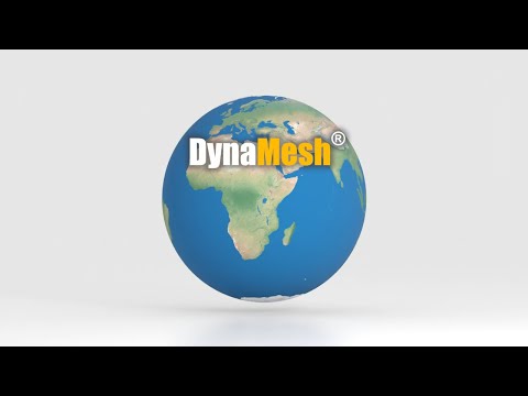 About DynaMesh®