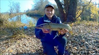 Ловля спиннингом на реке северский донец