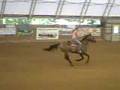 TammyRun2 Lindstrom