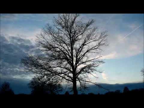 Lisa the Painful - Garbage Day (Remix)