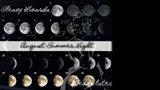 Sleazy Lizards - August Summer Night (8 years later)
