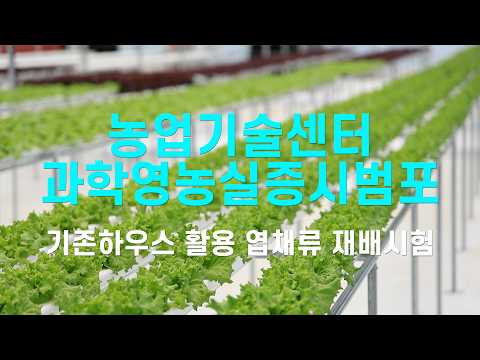 군위군 농업기술센터 과학영농실증시범포 기존하우스 활용한 엽채류 재배시험