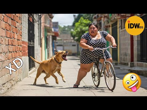 SI TE RÍES PIERDES NIVEL DIOS #356 🤣 TOP 100 VIDEOS MÁS DIVERTIDOS DE TODOS LOS TIEMPOS
