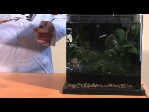 SuperFish Slakkenvanger