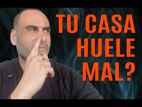 🍋Cómo hacer que la Casa Huela Bien Siempre (A limpio y aromatizada)