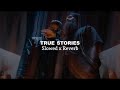 True Stories - Ap Dhillon (slowed+reverb)