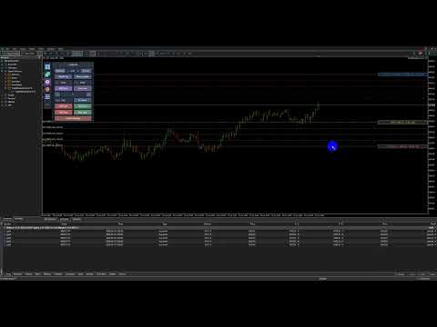 Video TradeMasterPanel