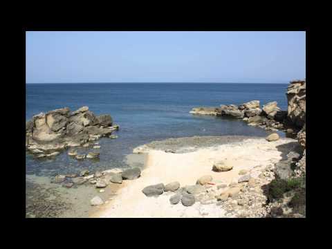 Das Schlüsselkraut 16 Die Ballade vom Pferd - Kinderhörbuch