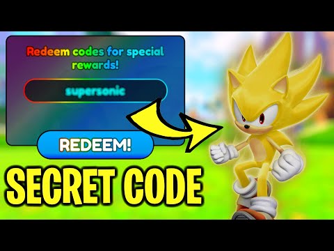 SECRET CODE FOR HIDDEN SONIC PLANE IN SONIC SPEED SIMULATOR