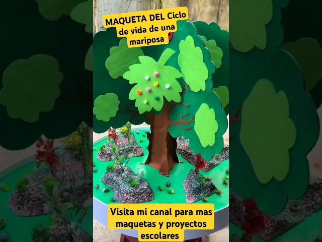 Vídeo relacionado con JZK 2 Juegos Figuras etapas Ciclo Vida de una Abeja y Mariposa, Ciclo Vida Abeja, Modelos Ciclo Vida Mariposa, Juguetes Ciclo Vida Insectos, Juguetes educativos tempranos, Set ciclos Vida Animales