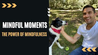 My Lesson for Today: The Powerful Art of Mindfulness