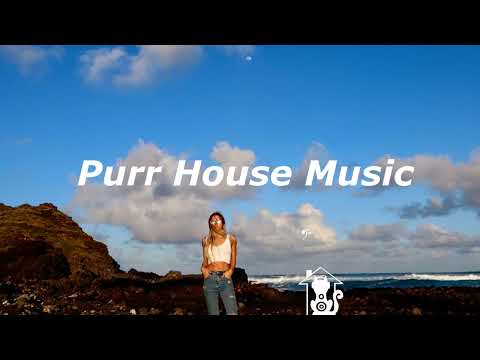 Richard Judge, Jelen & Embody - In The Dust