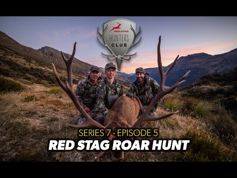 Thumping 14 Point Red Stag Hits The Deck! - Hunters Club S7 Ep 5