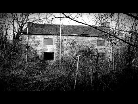 Ghost Hunt At Abandoned Cottage In The Woods