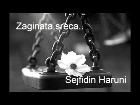 Zaginata sreca   Sejfidin Haruni