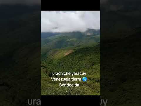 mi pueblo Querido urachiche yaracuy Venezuela fypparati video viral
