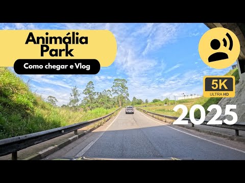 Driving to Animália Park in Cotia: Roller Coasters, Animals and More!