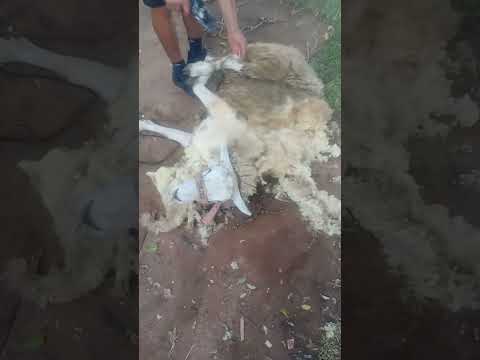 Dia de tosa muito calor no Rio grande do Sul