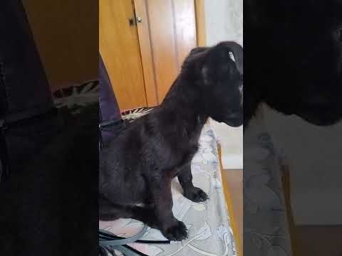 Vídeo de Benício 