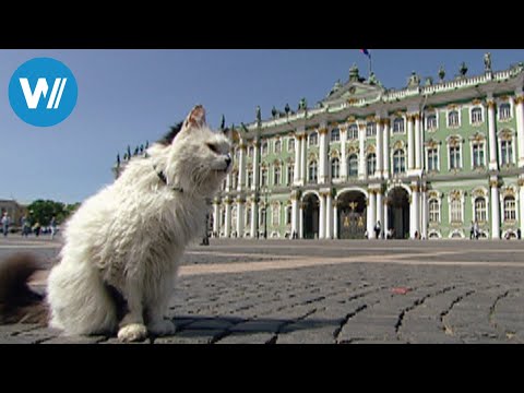 download lagu mp3 mp4 Eremitage St Petersburg Katzen, download lagu Eremitage St Petersburg Katzen gratis, unduh video klip Eremitage St Petersburg Katzen