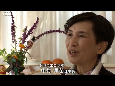 インタビュー: 地方自治体は気候保護にどの程度成功していますか?