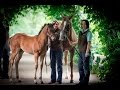 GOFFS LONDON SALE In Association With QIPCO 2014 Highlights